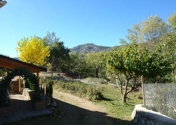 Fuente De La Yedra